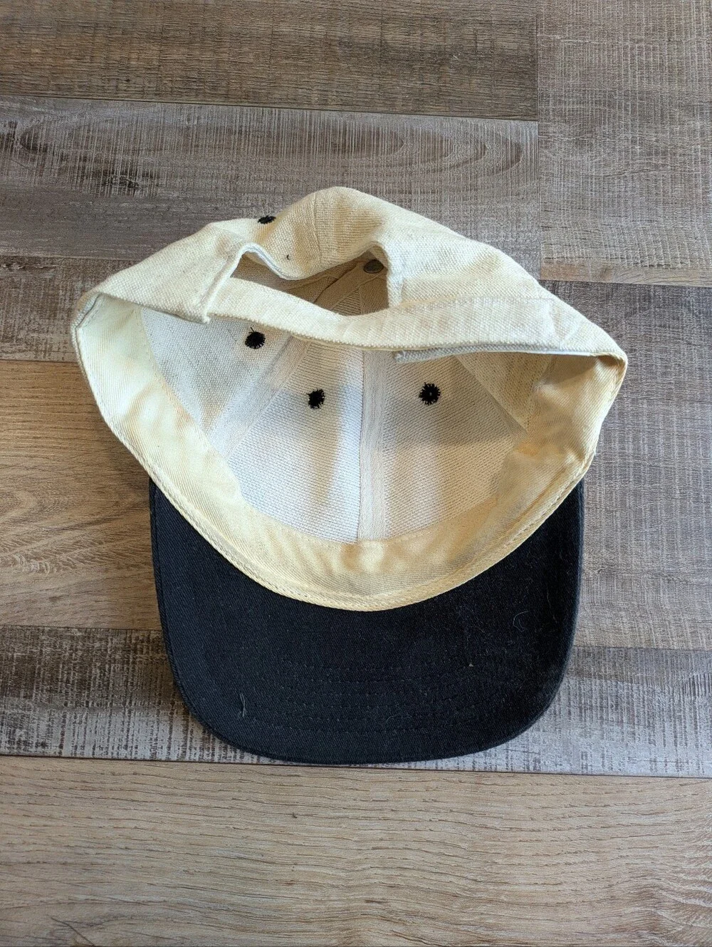 Vintage Afton Alps Hat